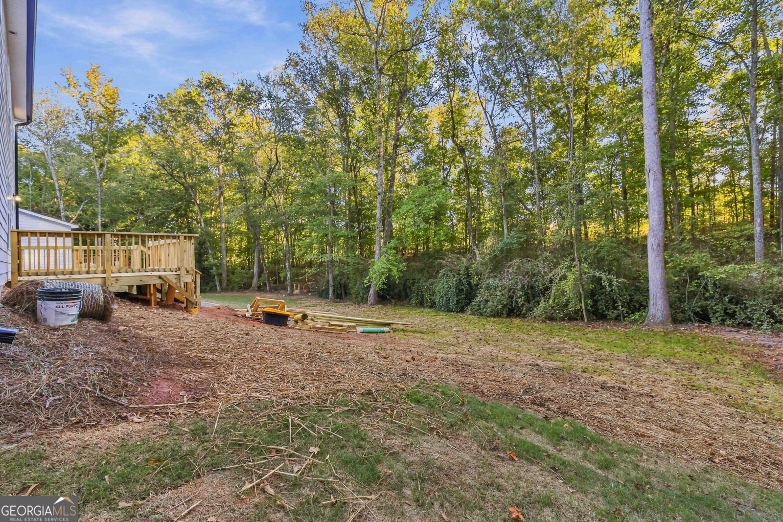 314 Wynterhall Drive Griffin - Photo 28