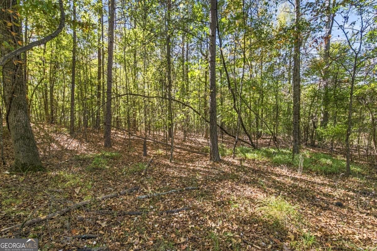 1878 Keri Lane Winder - Photo 31