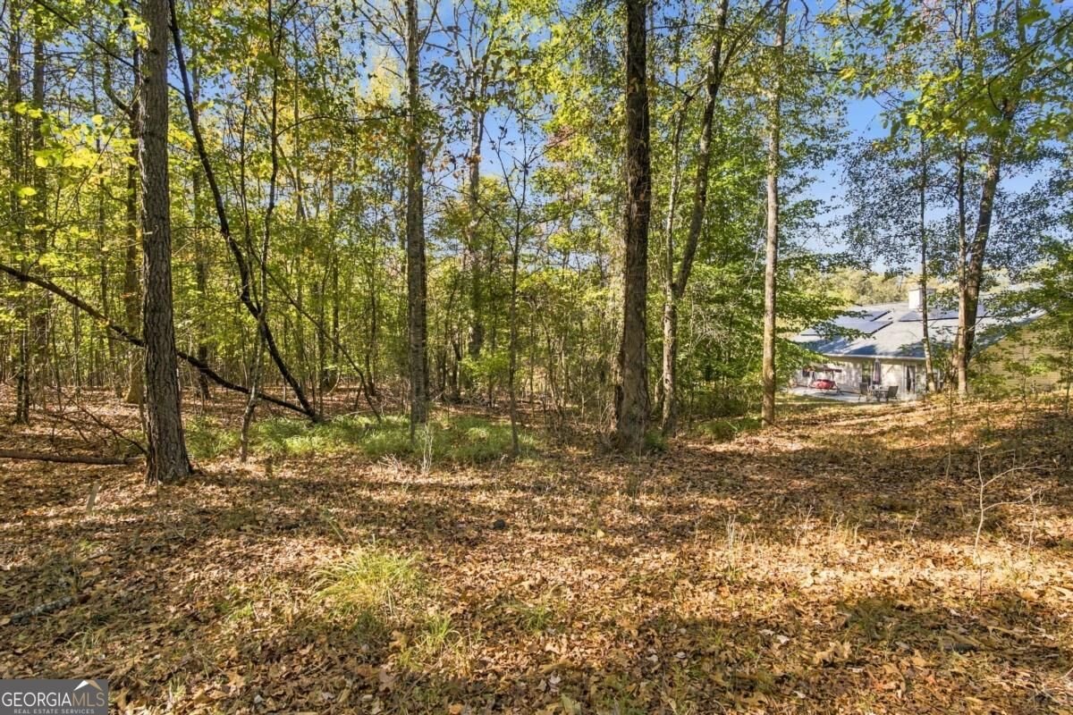 1878 Keri Lane Winder - Photo 40