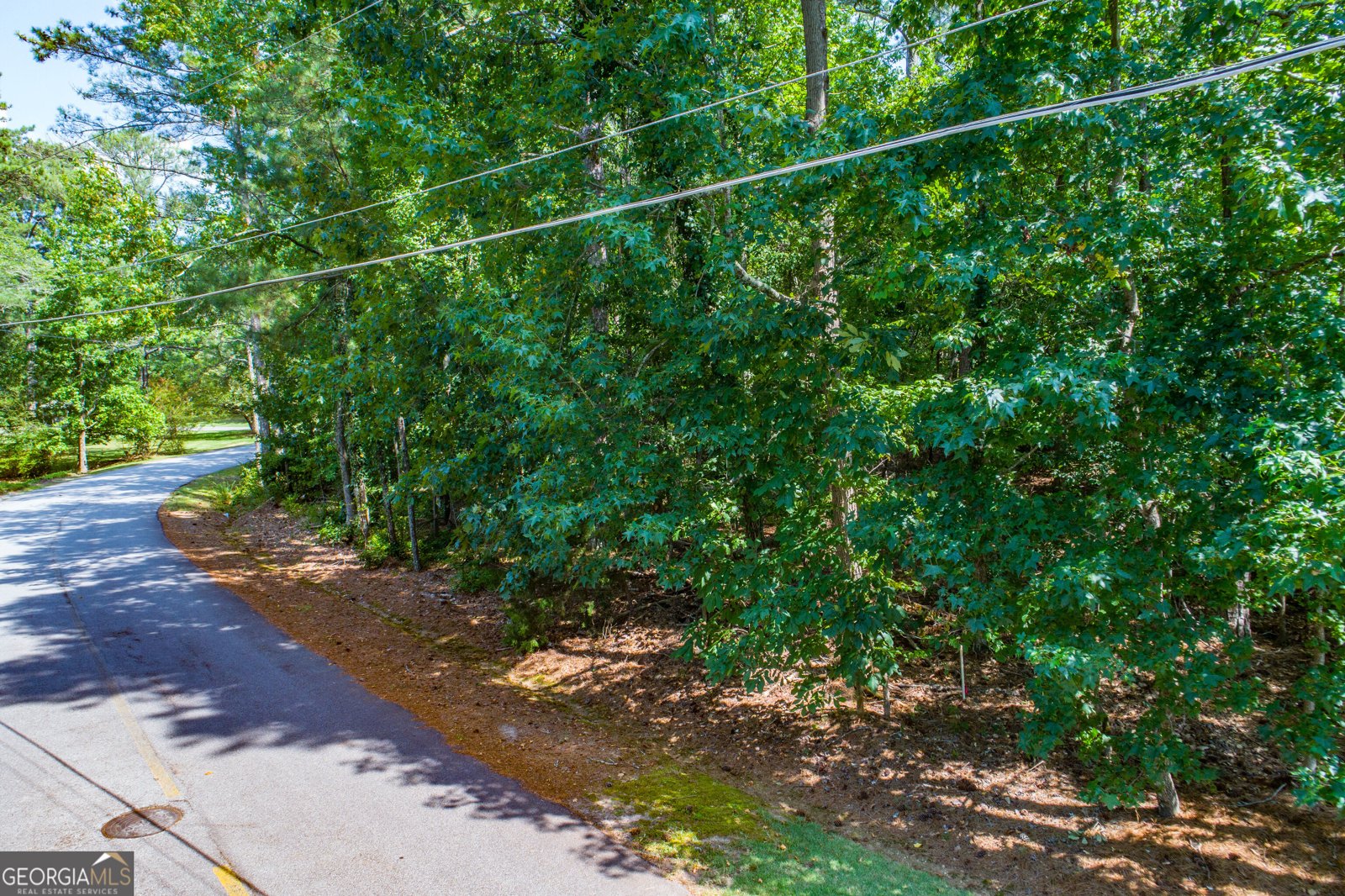 3312 Lakeview Parkway Villa Rica - Photo 59