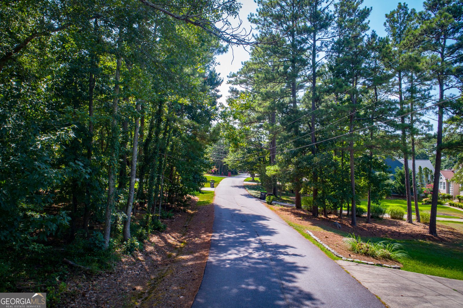3312 Lakeview Parkway Villa Rica - Photo 60
