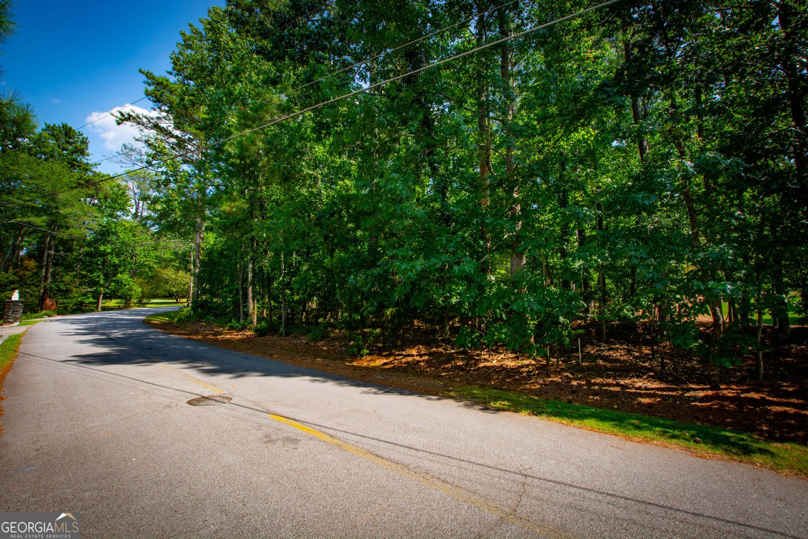 3312 Lakeview Parkway Villa Rica - Photo 61