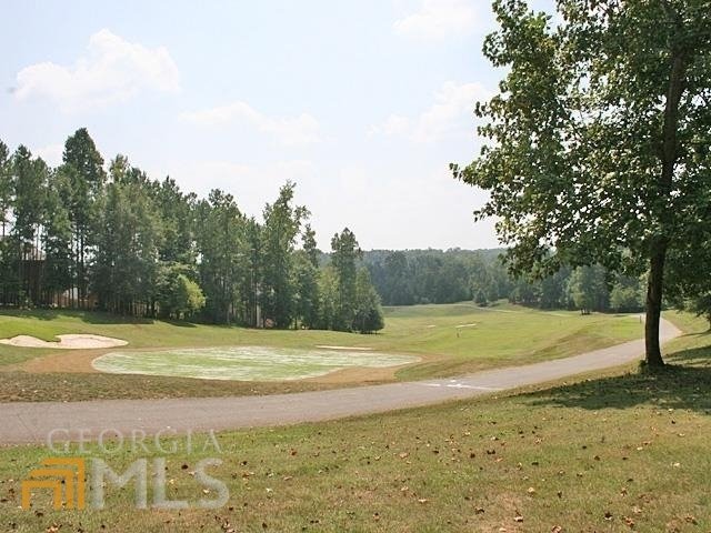 170 Middleton Trace Newnan - Photo 87