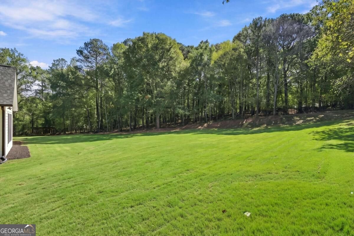 2466 Meredith Drive Loganville - Photo 62