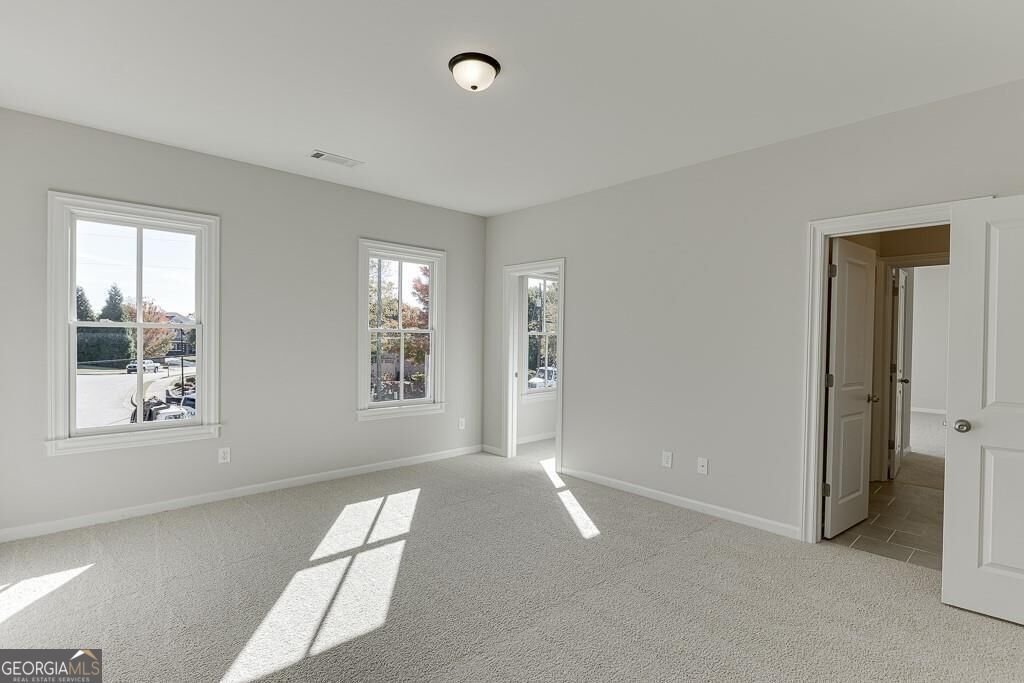 452 Thunder Road Buford - Photo 28