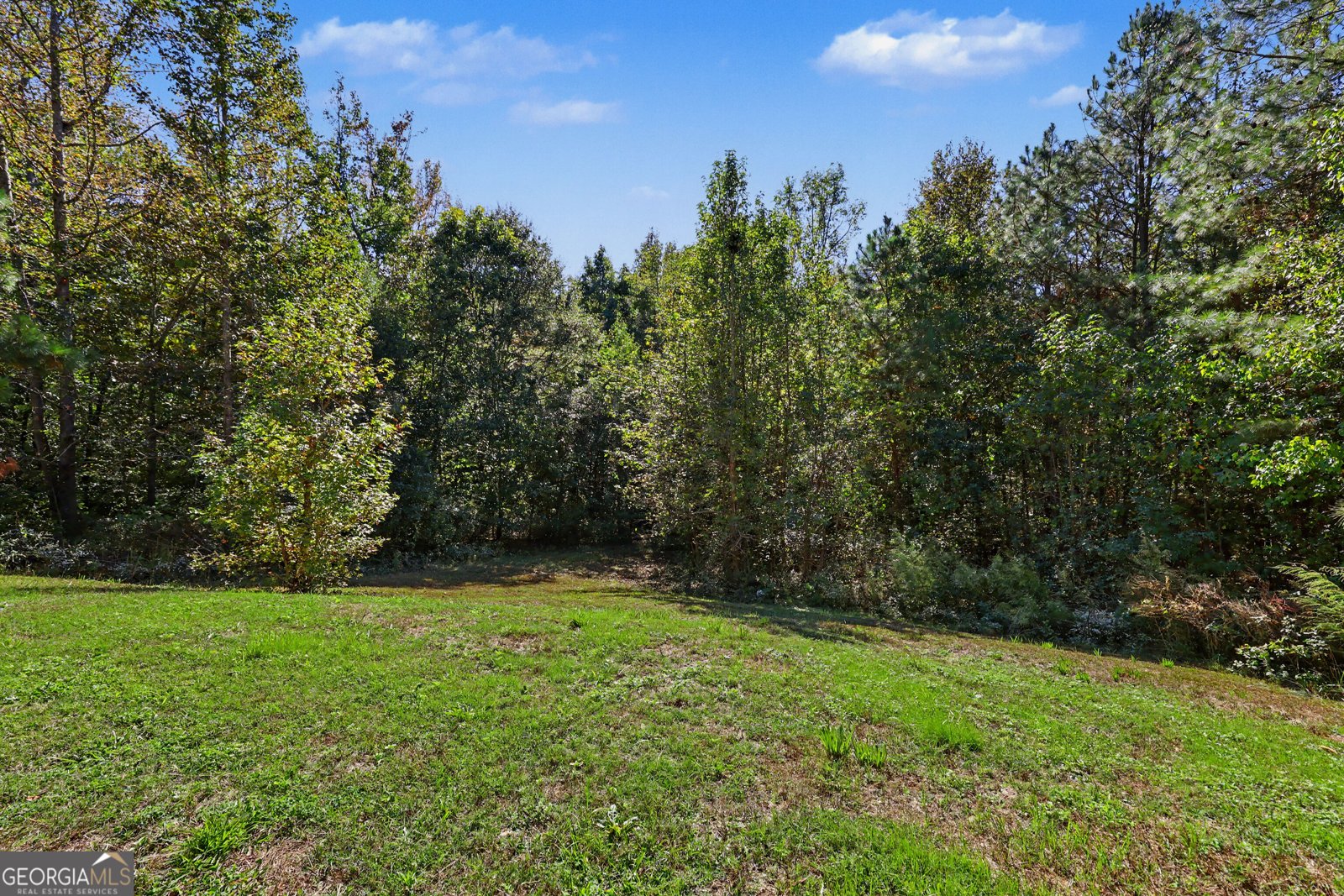 149 Pine Ridge Place Nicholson - Photo 16