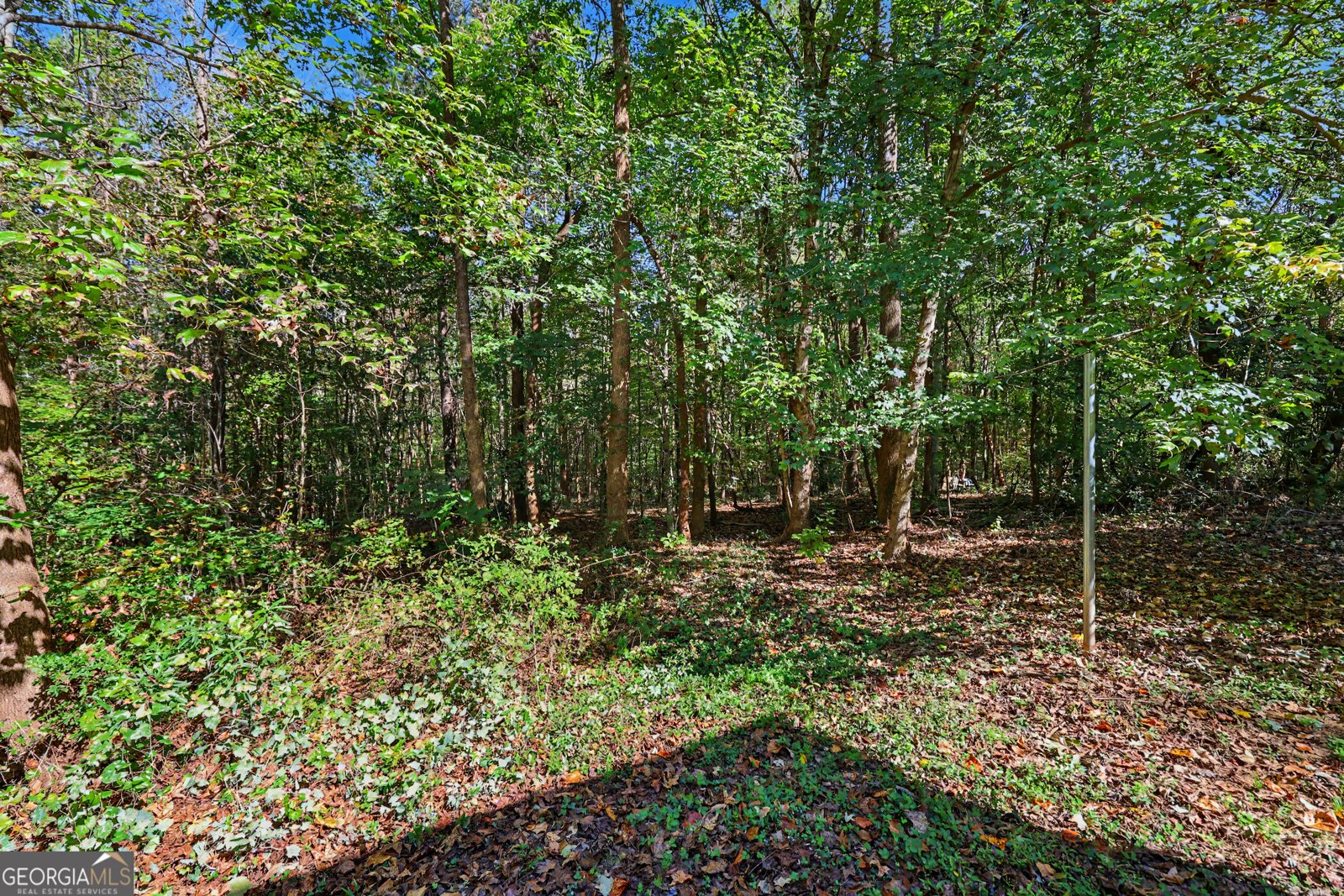 568 Ivy Creek Drive Nicholson - Photo 17