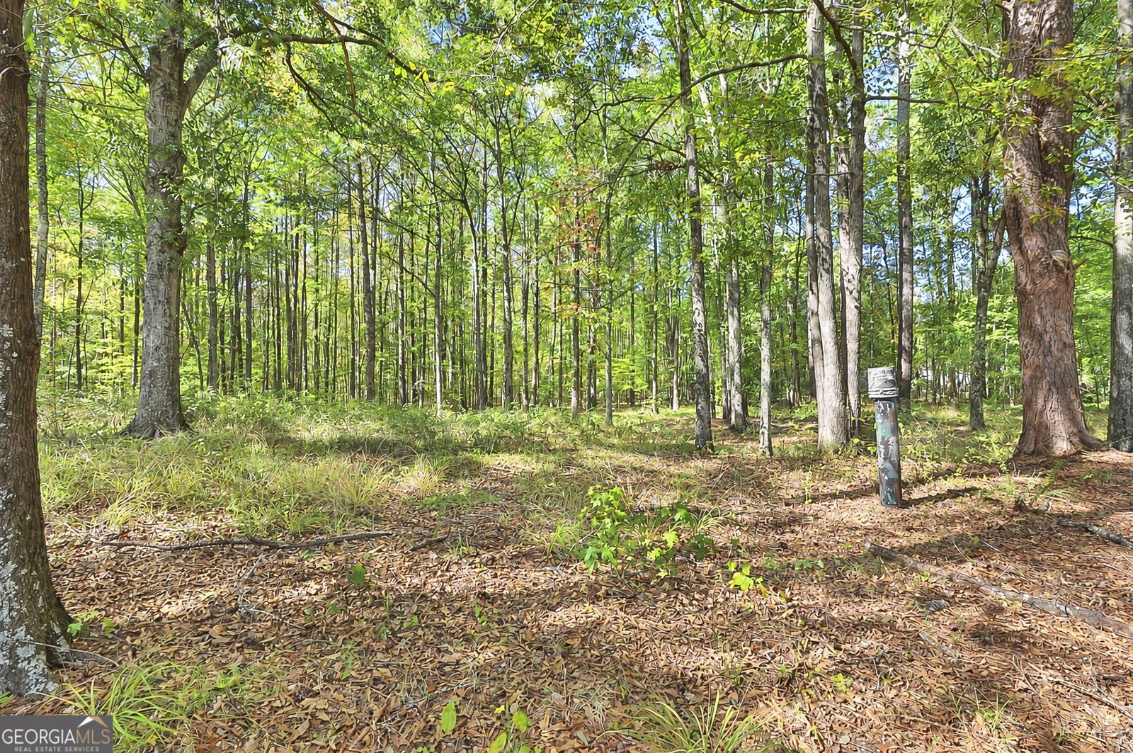 55 Westport Place Newnan - Photo 37