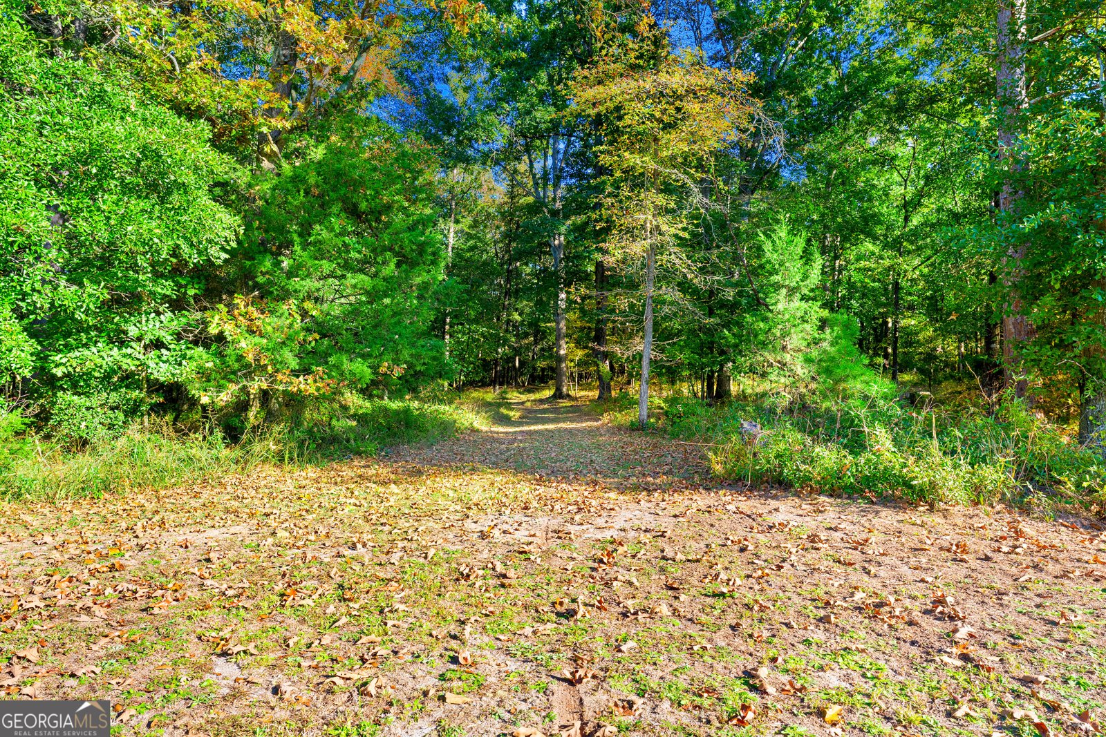 7588 Mount Olivet Road Hartwell - Photo 27