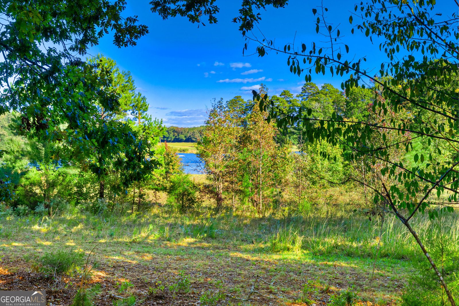 7588 Mount Olivet Road Hartwell - Photo 28