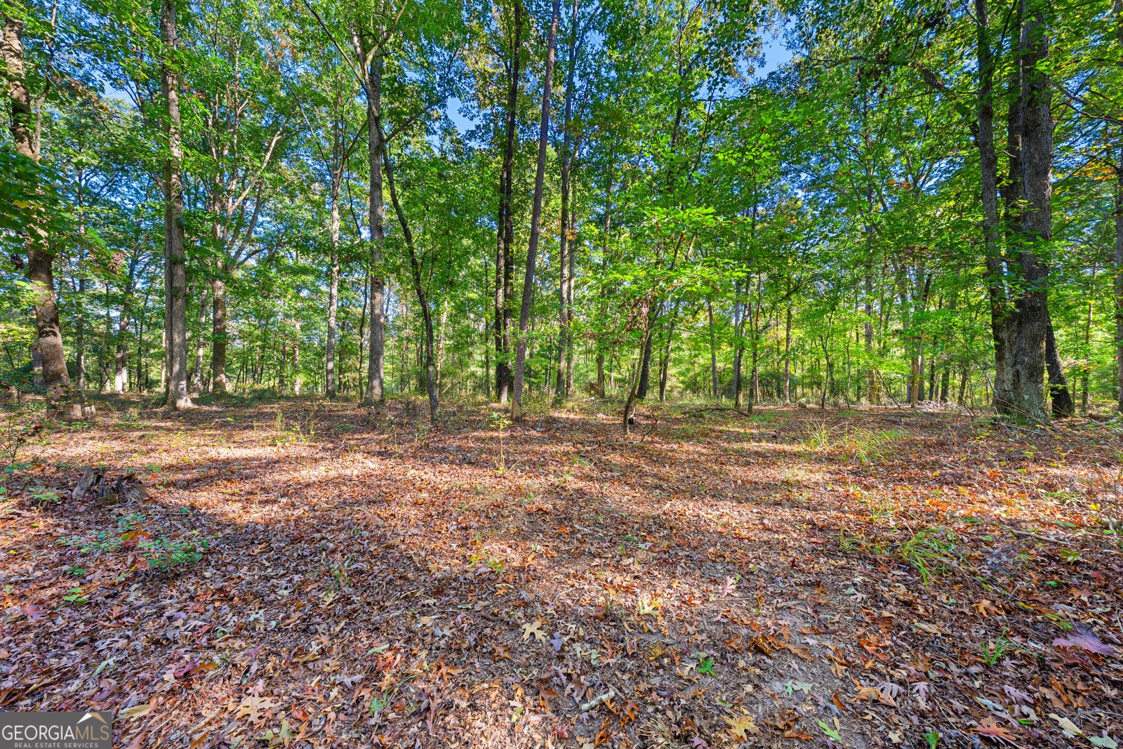 7588 Mount Olivet Road Hartwell - Photo 36
