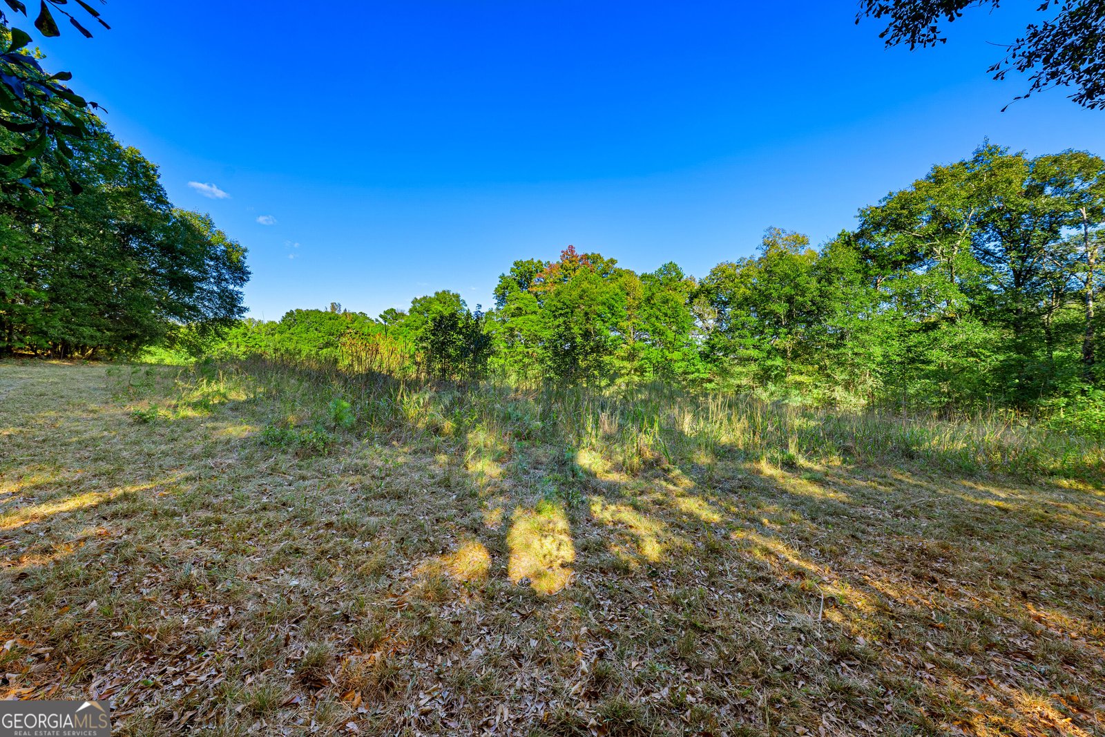 7588 Mount Olivet Road Hartwell - Photo 37