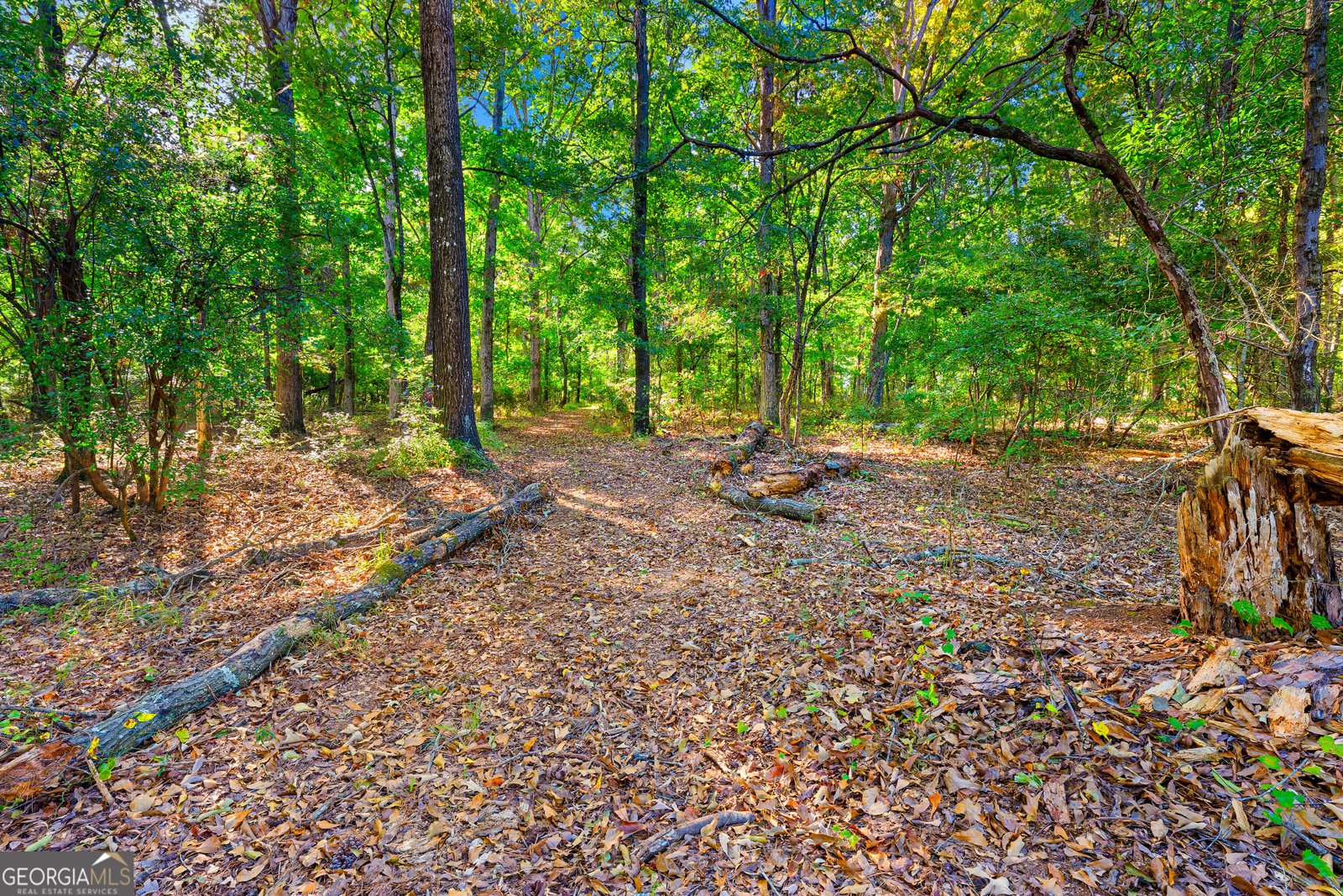 7588 Mount Olivet Road Hartwell - Photo 38