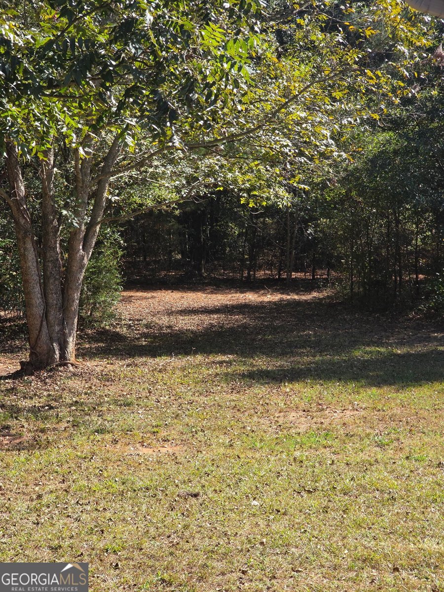 6523 Elberton Highway Dewy Rose - Photo 21