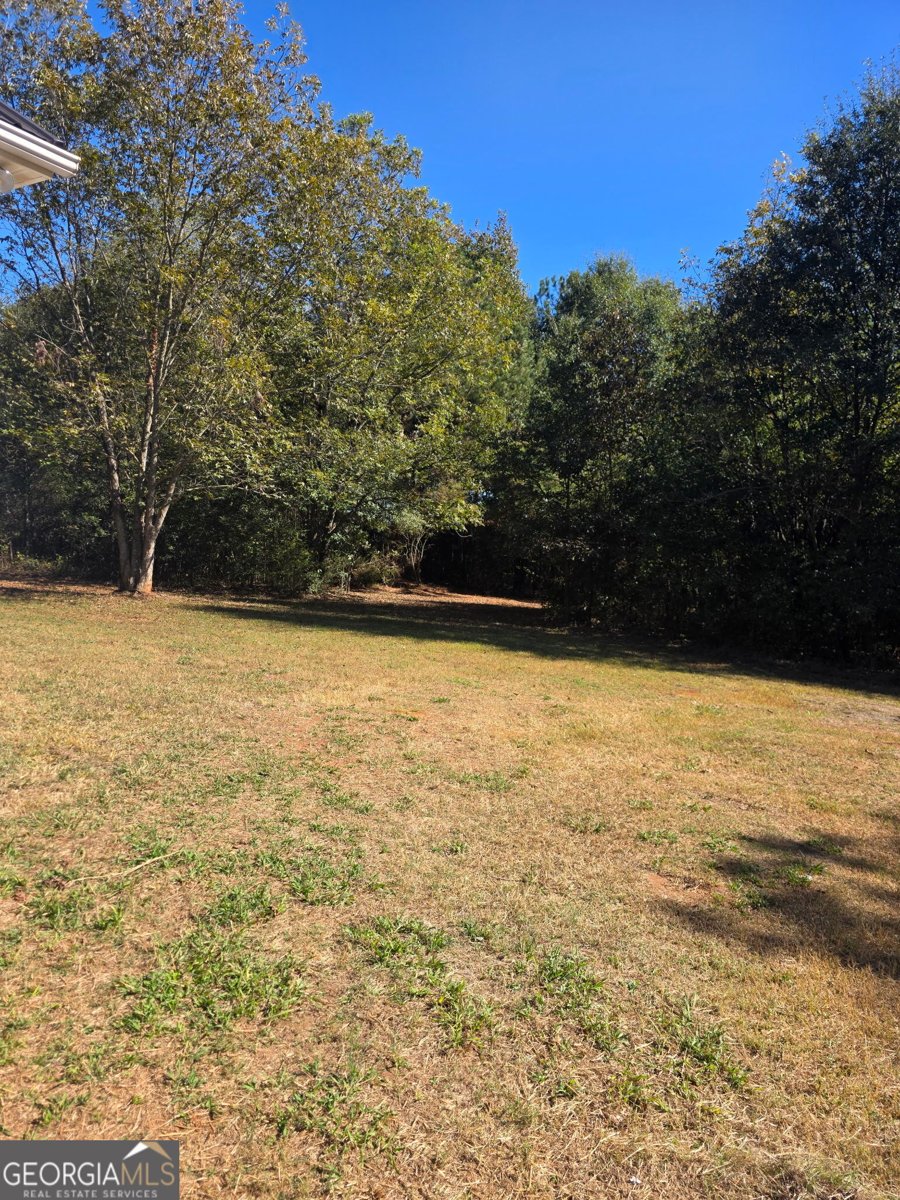 6523 Elberton Highway Dewy Rose - Photo 23