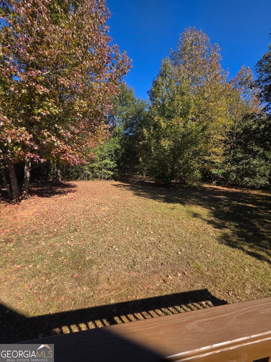 6523 Elberton Highway Dewy Rose - Photo 24