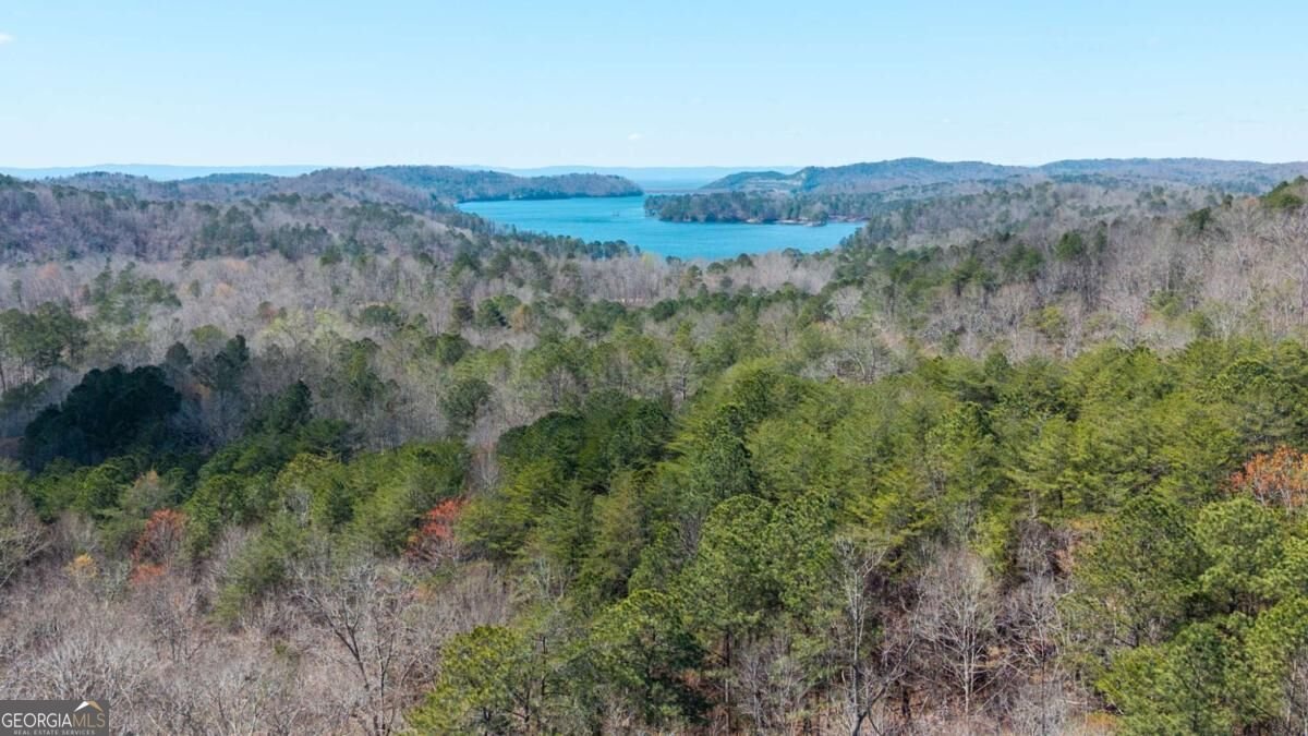 56 Carters View Lane Ellijay - Photo 20
