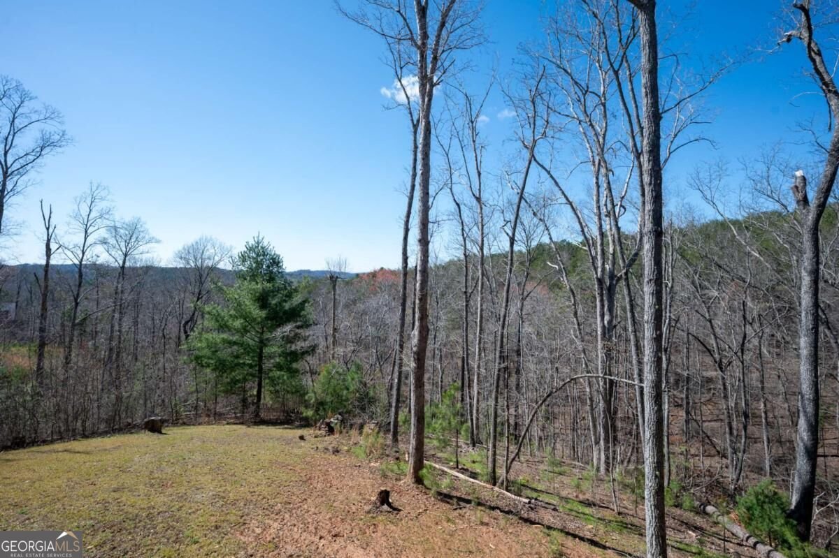 56 Carters View Lane Ellijay - Photo 63