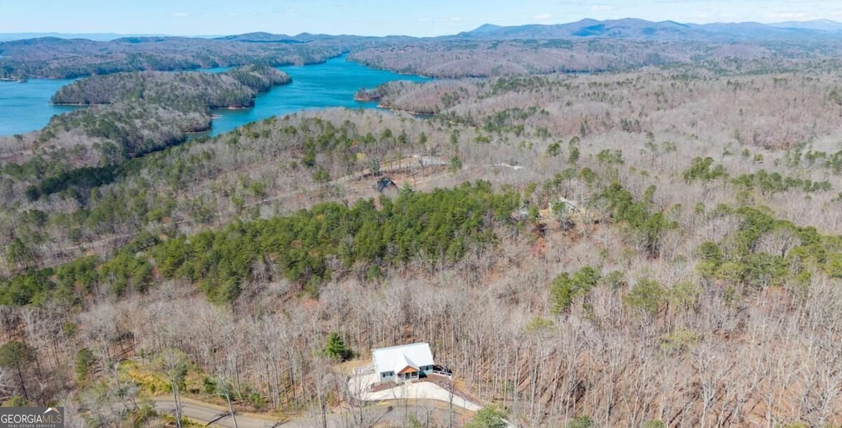 56 Carters View Lane Ellijay - Photo 65