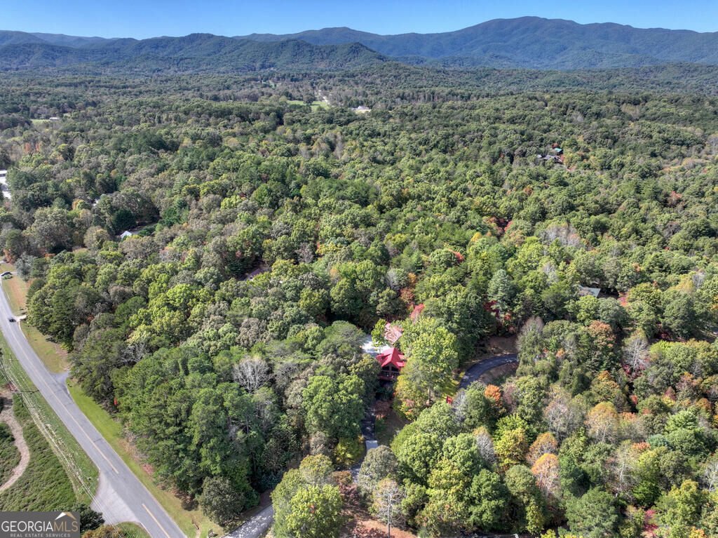 5 Hidden Valley Lakes Drive Mc Caysville - Photo 16