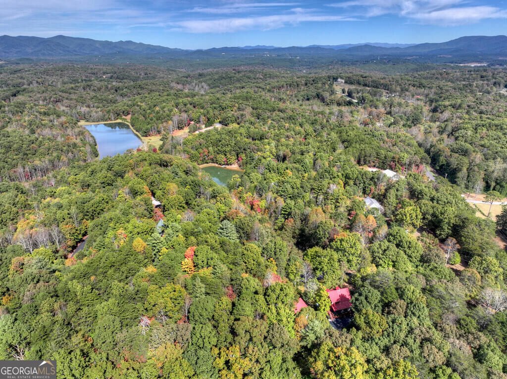 5 Hidden Valley Lakes Drive Mc Caysville - Photo 17