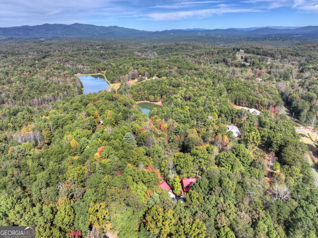5 Hidden Valley Lakes Drive Mc Caysville - Photo 18