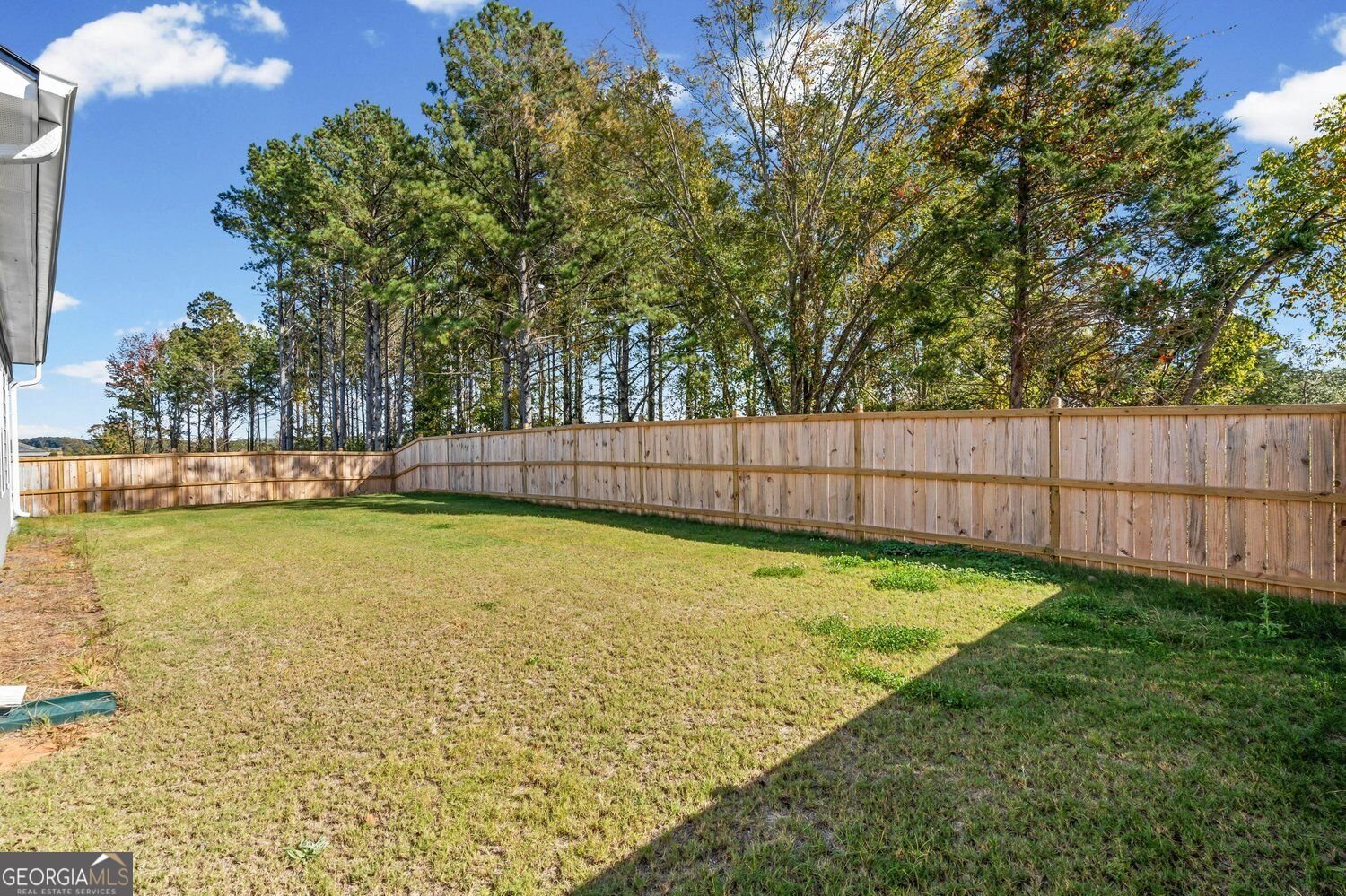 18 Thedford Drive Hoschton - Photo 29