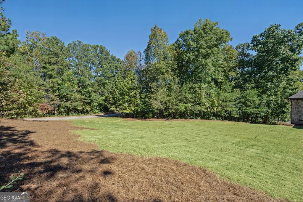 585 Milton Drive McDonough - Photo 60