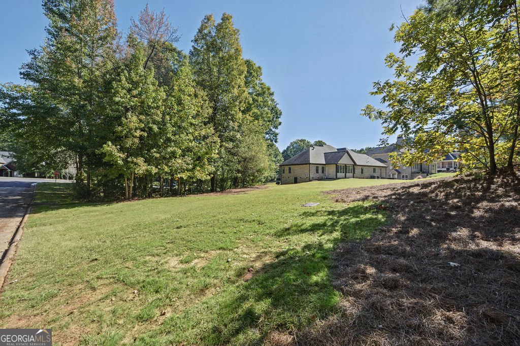 585 Milton Drive McDonough - Photo 61