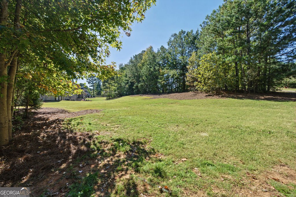 585 Milton Drive McDonough - Photo 62