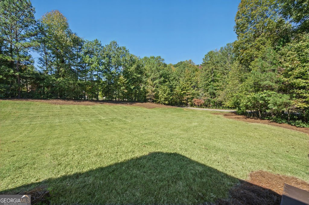 585 Milton Drive McDonough - Photo 64