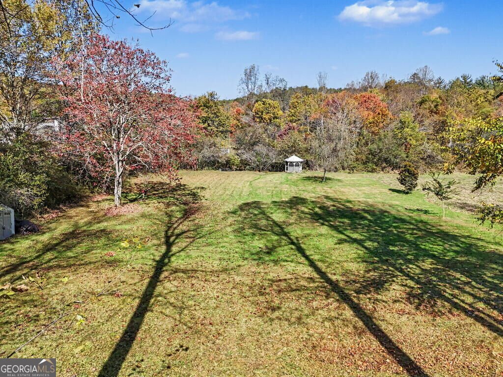 6702 Morgan Drive Young Harris - Photo 43