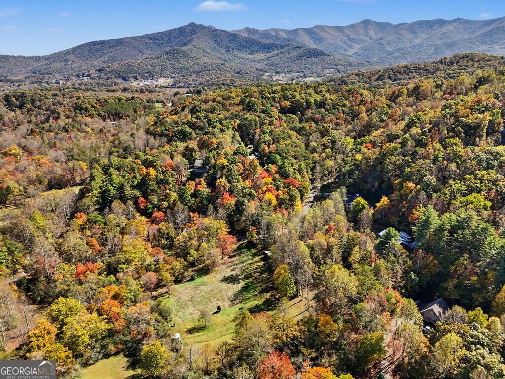 6702 Morgan Drive Young Harris - Photo 49