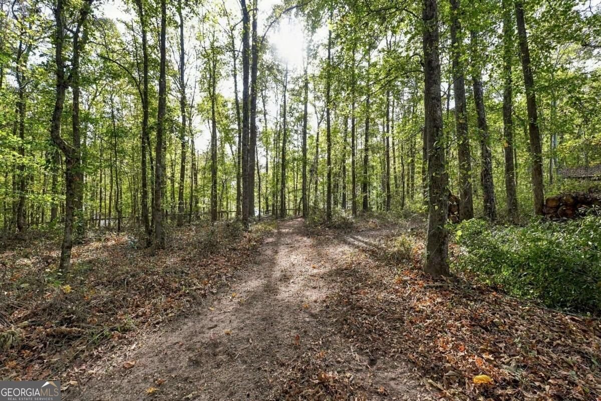 2815 Mountain Road Milton - Photo 29
