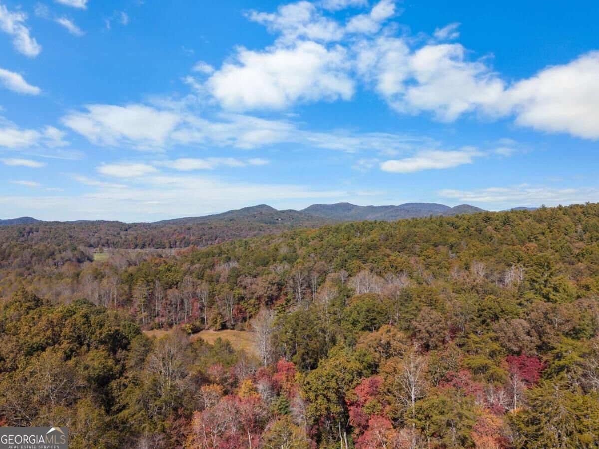 73 Aska Forest Trail Blue Ridge - Photo 53