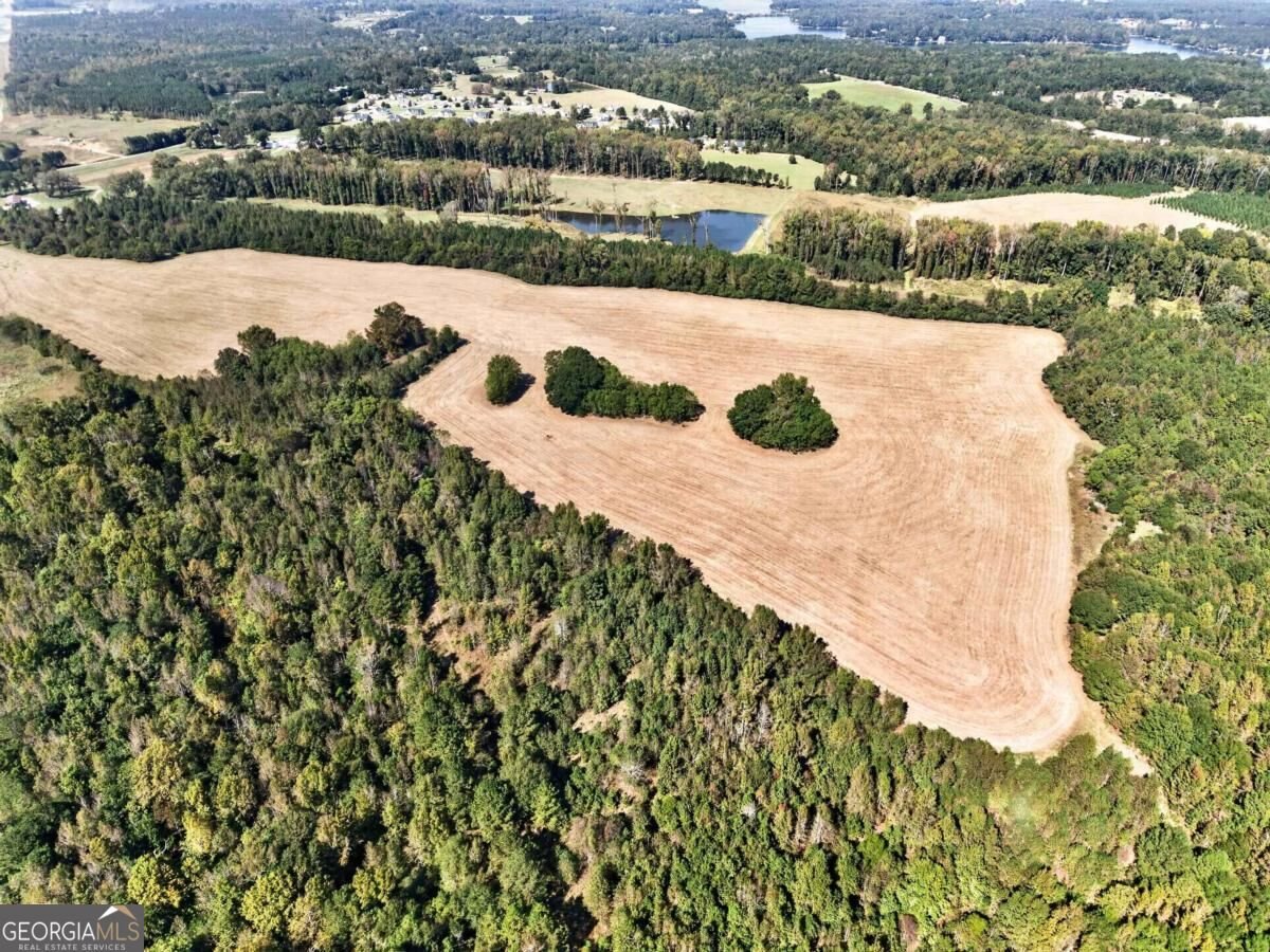 366 Old Phoenix Road Eatonton - Photo 9