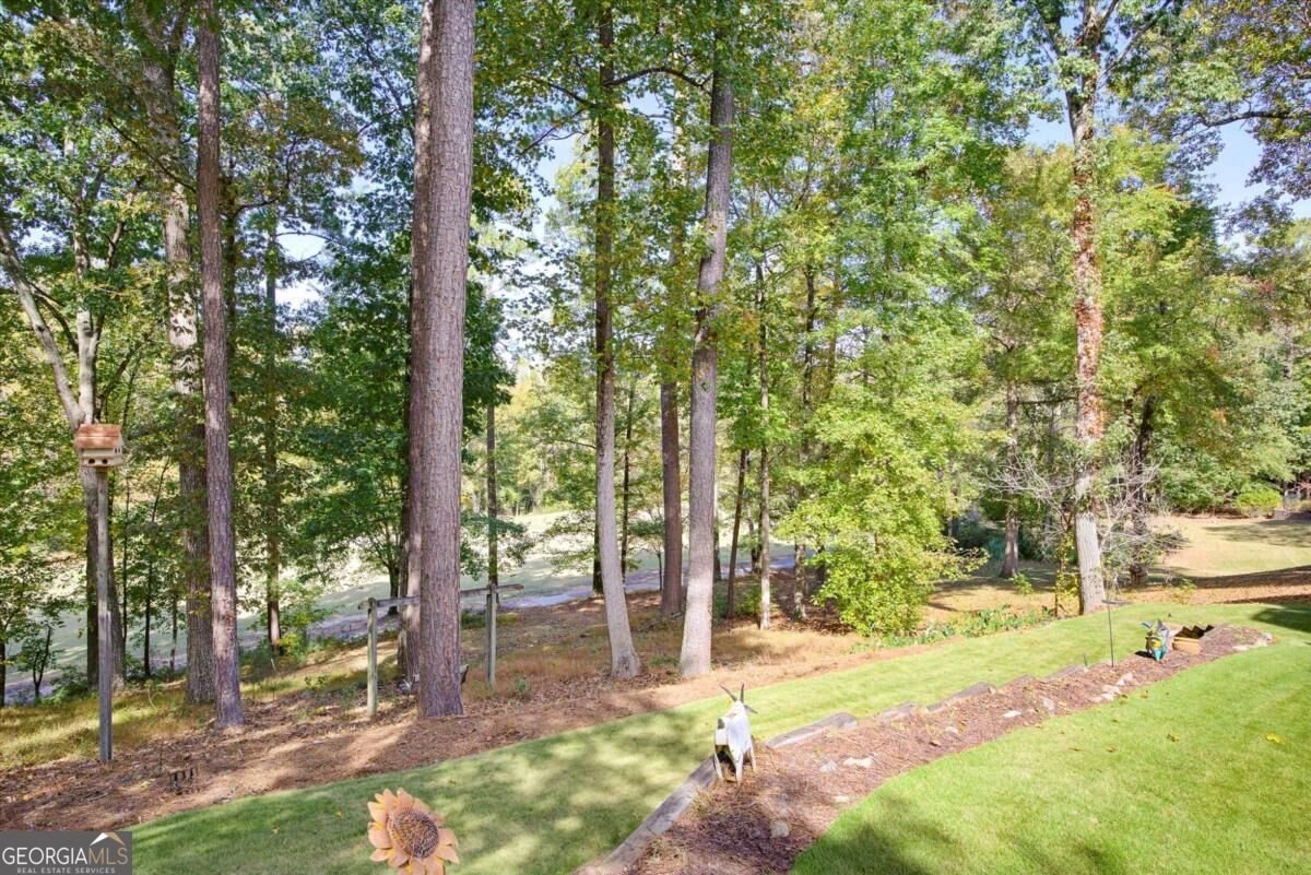 4569 Cabinwood Douglasville - Photo 20