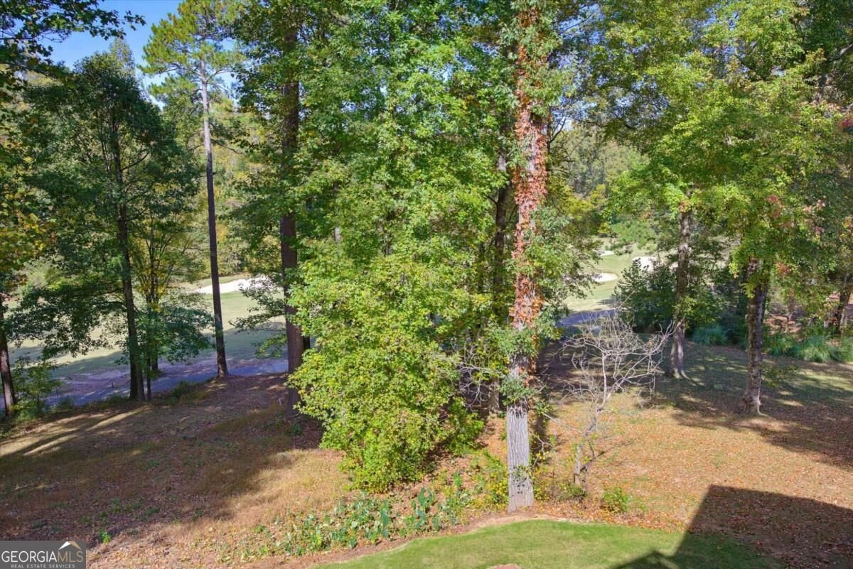 4569 Cabinwood Douglasville - Photo 21