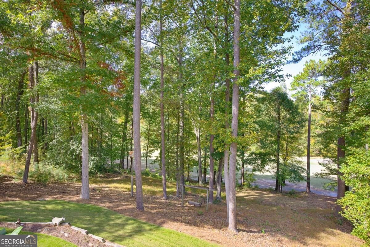 4569 Cabinwood Douglasville - Photo 22