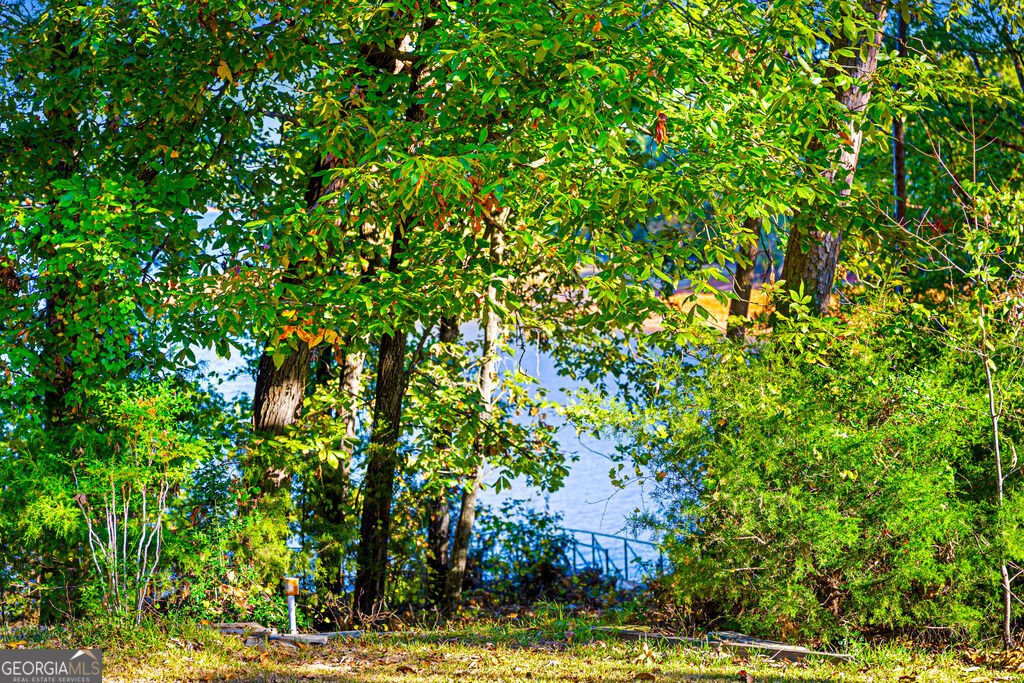 368 Mustang Drive Hartwell - Photo 6