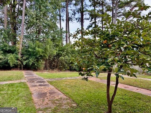 4210 Hopkins Bluff Way Duluth - Photo 30