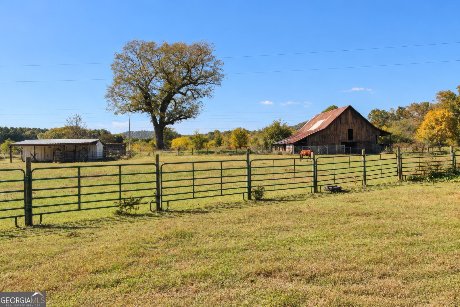 1520 Tate Road Summerville - Photo 19