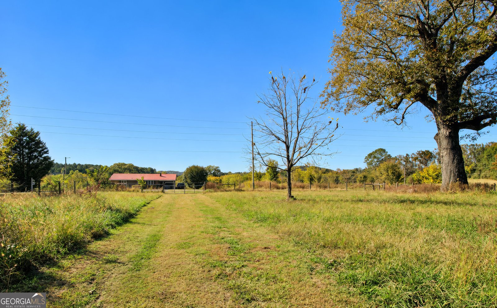 1520 Tate Road Summerville - Photo 34
