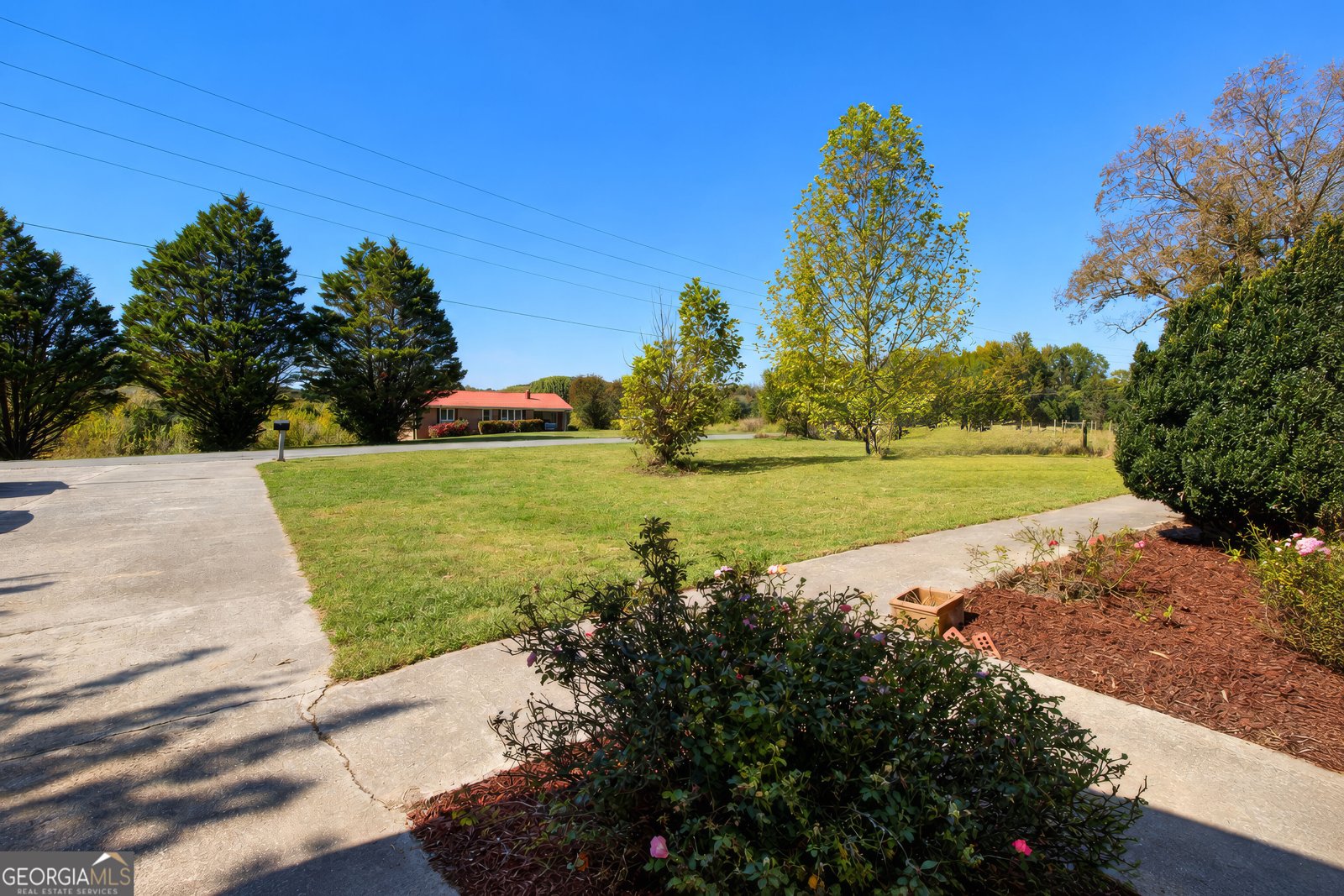 1520 Tate Road Summerville - Photo 39