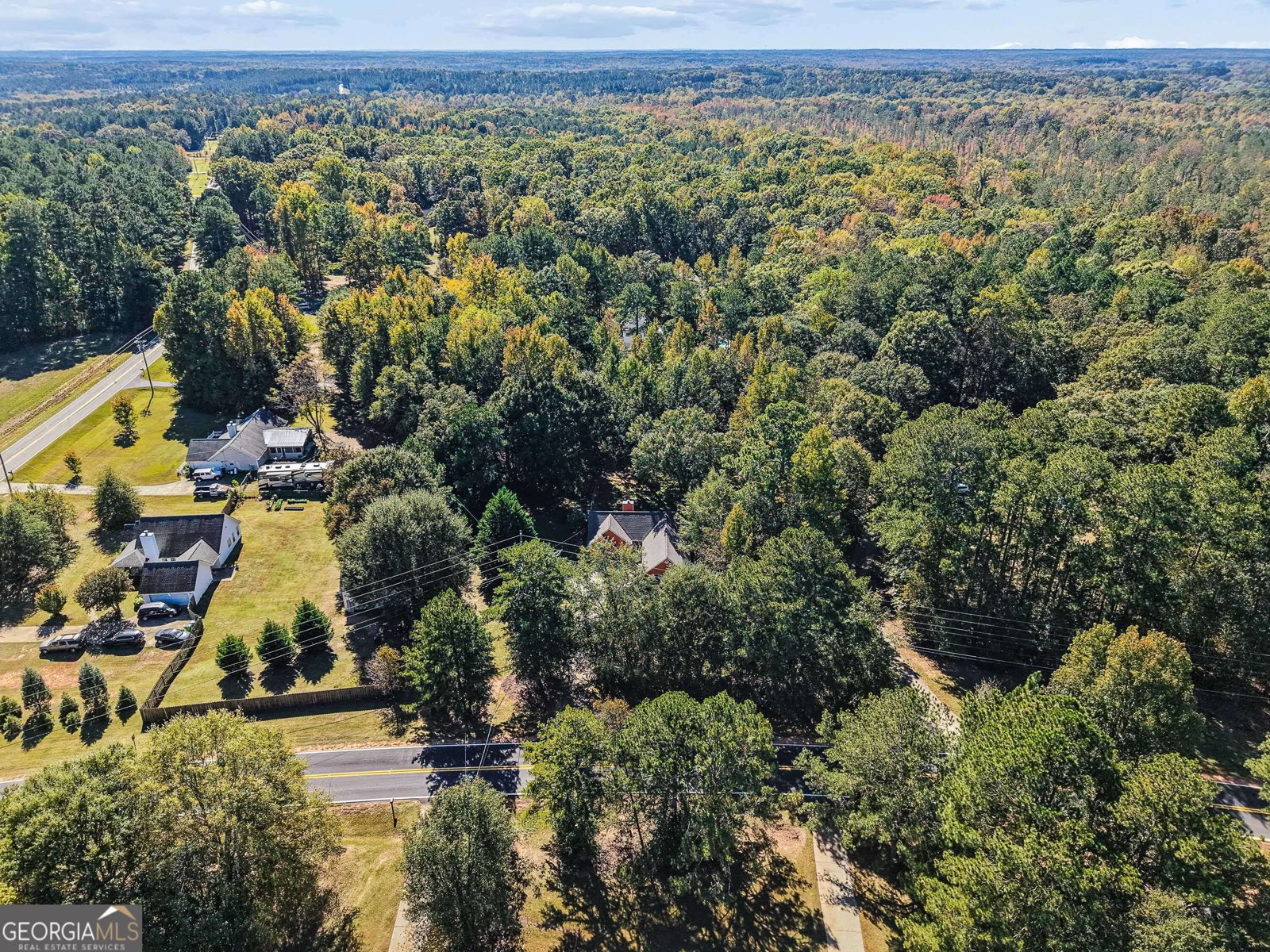 726 Keys Ferry Road McDonough - Photo 39