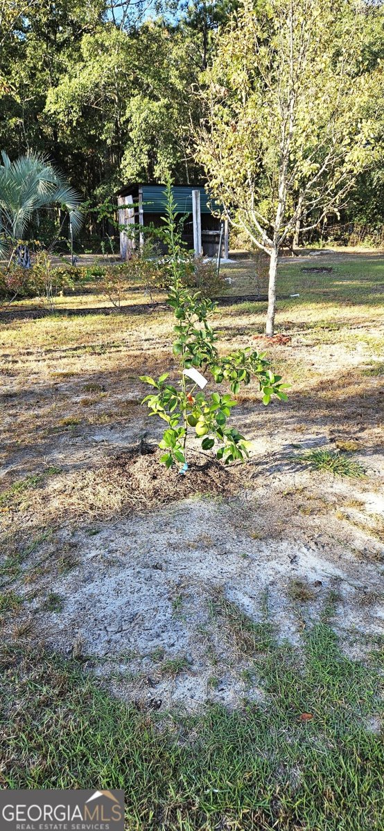 1663 Metts Road Statesboro - Photo 45