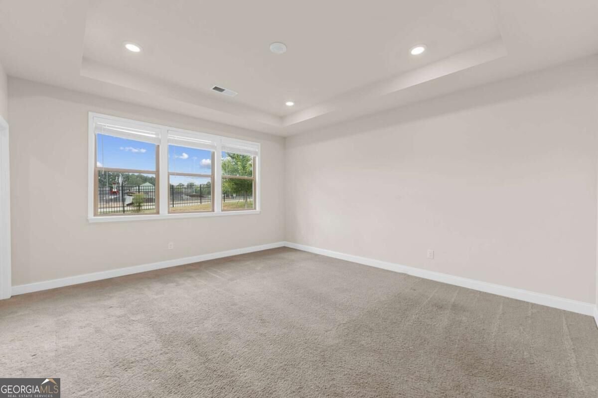 352 Chestnut Chase Hoschton - Photo 19