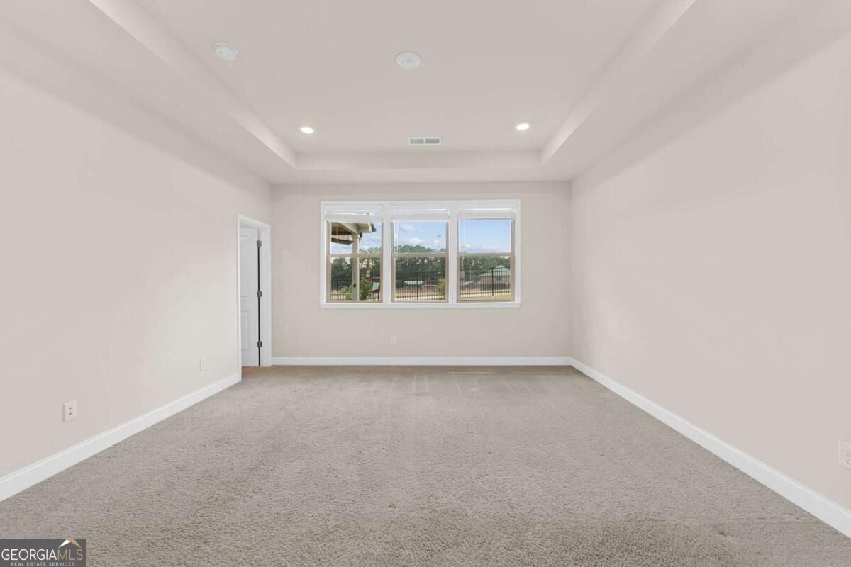 352 Chestnut Chase Hoschton - Photo 21