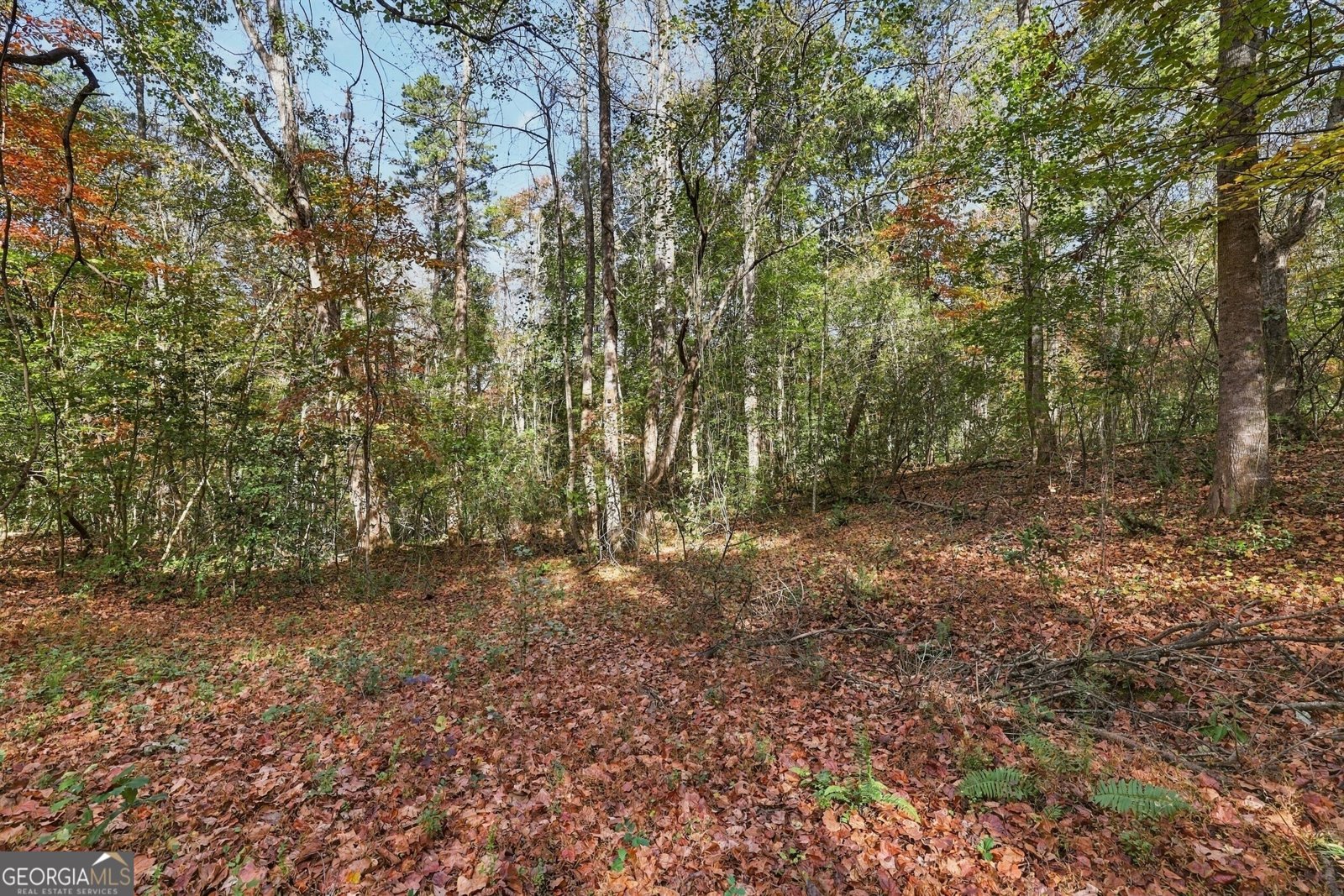 369 Featherwood Drive Cornelia - Photo 57