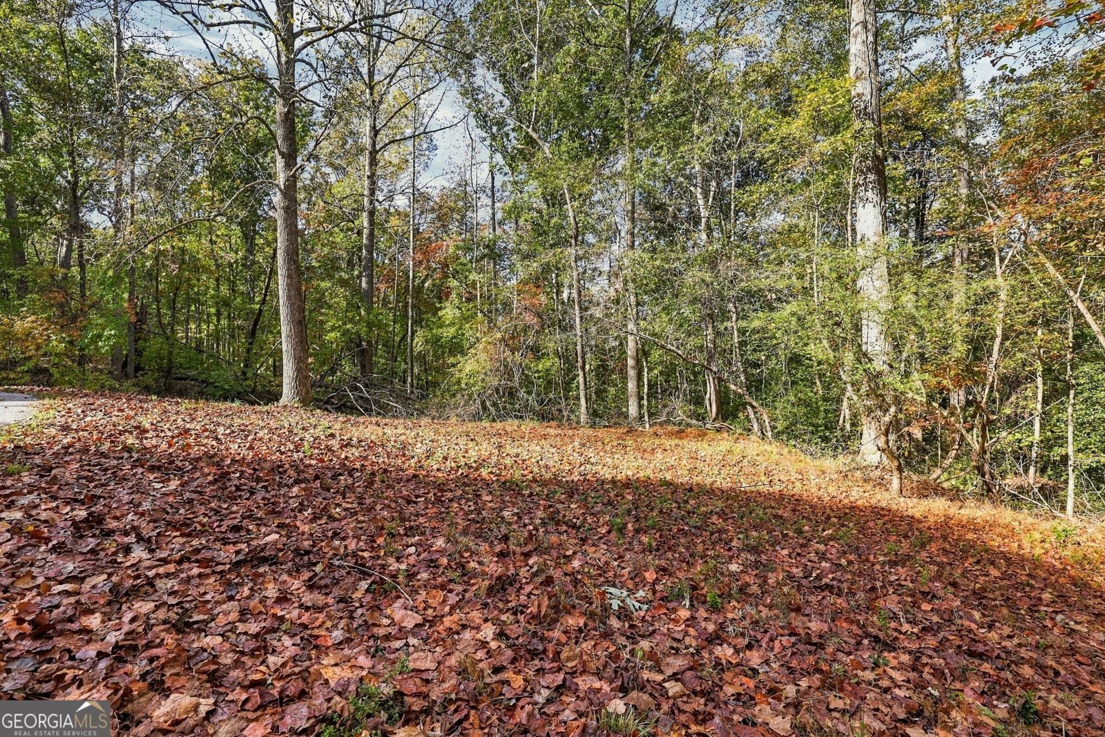 369 Featherwood Drive Cornelia - Photo 58